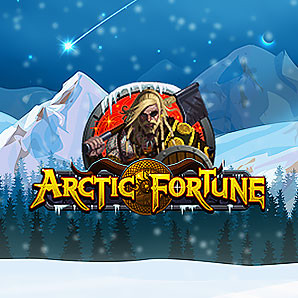 Аппарат Arctic Fortune – холод северных краев